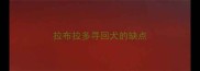 拉布拉多寻回犬的缺点