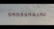 拉布拉多会传染人吗