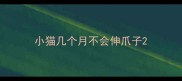 小猫几个月不会伸爪子