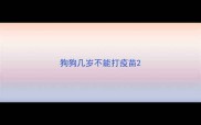 狗狗几岁不能打疫苗