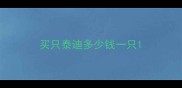 买只泰迪多少钱一只