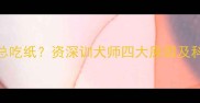 8个月大狗狗总吃纸资深训犬师四大原因及科学应对策略