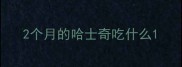 2个月的哈士奇吃什么