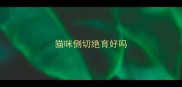 猫咪侧切绝育好吗