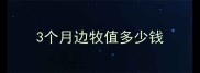 3个月边牧值多少钱