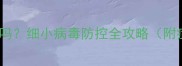 8个月大狗狗易患细小吗细小病毒防控全攻略附症状识别与预防措施