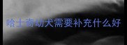 哈士奇幼犬需要补充什么好