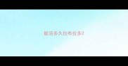 能活多久拉布拉多