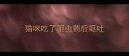 猫咪吃了驱虫药后呕吐