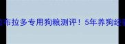 XX品牌老年拉布拉多专用狗粮测评5年养狗经验的选粮攻略