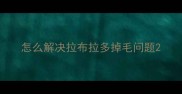 怎么解决拉布拉多掉毛问题