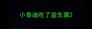 小泰迪吃了益生菌