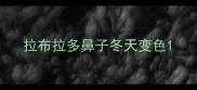 拉布拉多鼻子冬天变色