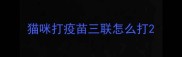 猫咪打疫苗三联怎么打
