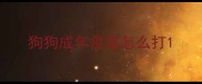 狗狗成年疫苗怎么打