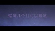 蜡嘴几个月可以繁殖