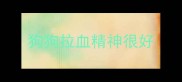 狗狗拉血精神很好