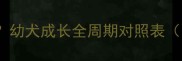金毛犬1岁人类几岁幼犬成长全周期对照表附疫苗换牙换毛指南