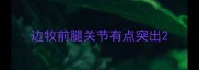 边牧前腿关节有点突出
