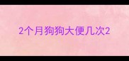 2个月狗狗大便几次