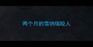 两个月的雪纳瑞咬人