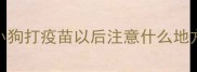 小狗打疫苗以后注意什么地方