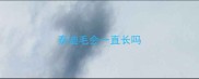 泰迪毛会一直长吗