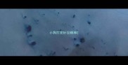 小狗打完针没精神