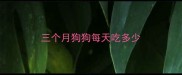 三个月狗狗每天吃多少