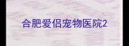 合肥爱侣宠物医院