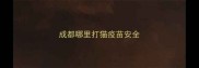 成都哪里打猫疫苗安全