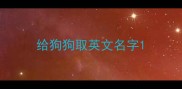 给狗狗取英文名字