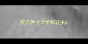 疫苗后七天给狗驱虫