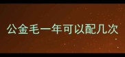 公金毛一年可以配几次