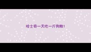 哈士奇一天吃一斤狗粮