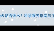 满月泰迪幼犬能否饮水科学喂养指南与注意事项全
