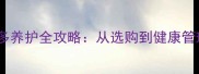 黑耳朵拉布拉多养护全攻略从选购到健康管理的实用指南