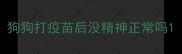 狗狗打疫苗后没精神正常吗