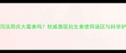 小狗腹泻该用庆大霉素吗权威兽医抗生素使用误区与科学护理指南