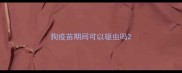 狗疫苗期间可以驱虫吗