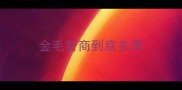 金毛智商到底多高