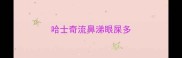 哈士奇流鼻涕眼屎多