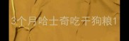 3个月哈士奇吃干狗粮