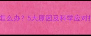 拉布拉多晚上不睡觉怎么办5大原因及科学应对指南附护理方案