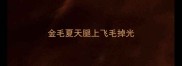 金毛夏天腿上飞毛掉光