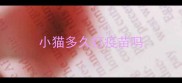 小猫多久打疫苗吗