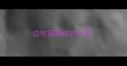 边牧蓝眼睛的危害