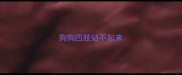 狗狗四肢站不起来