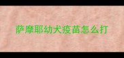 萨摩耶幼犬疫苗怎么打