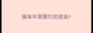 猫每年需要打的疫苗